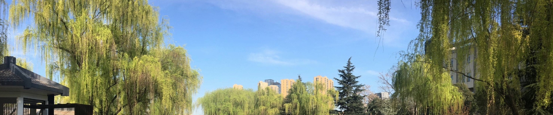 乐鱼官方站页面登录入口