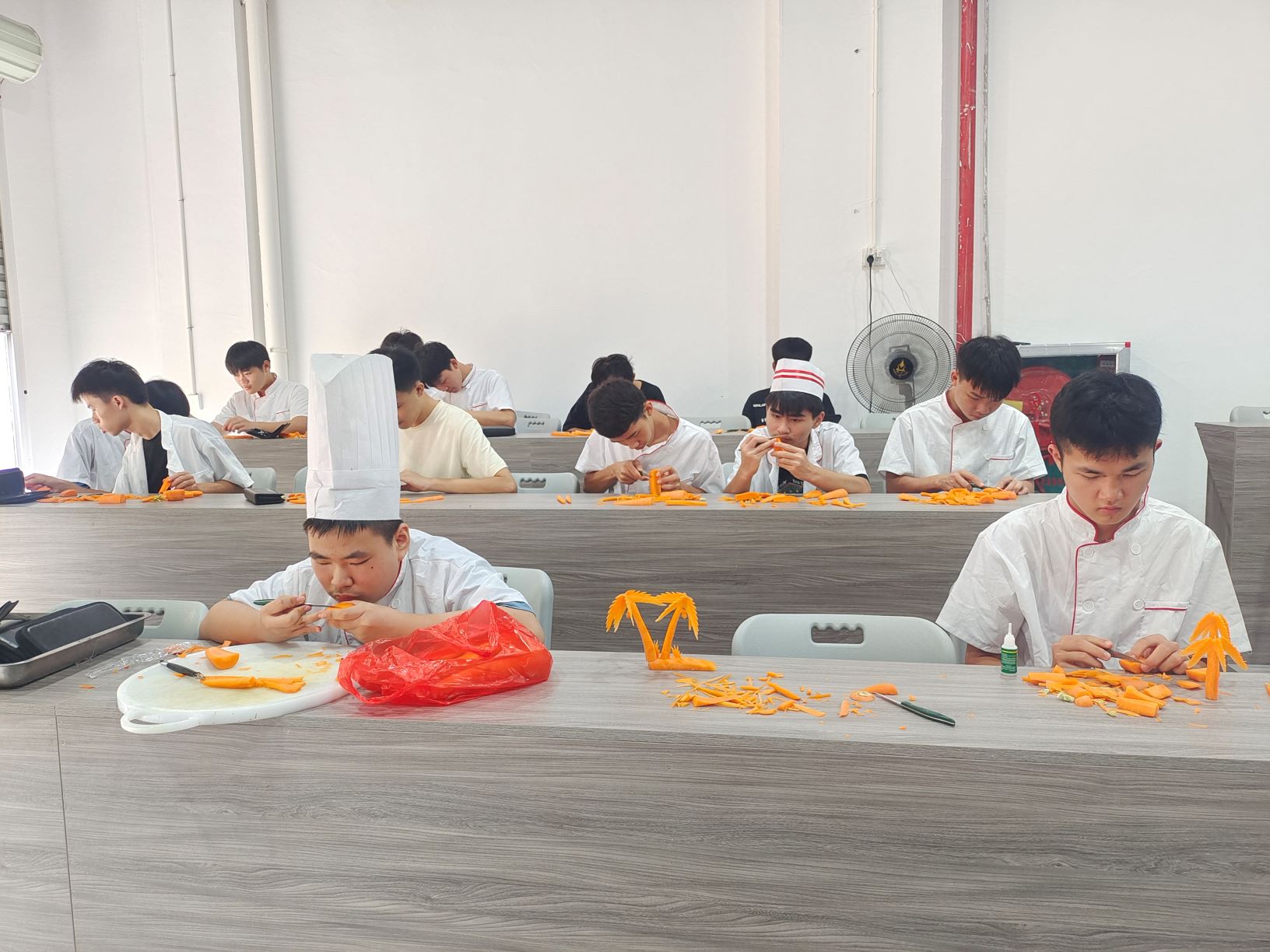 学生作品展示丨乐鱼(中国)