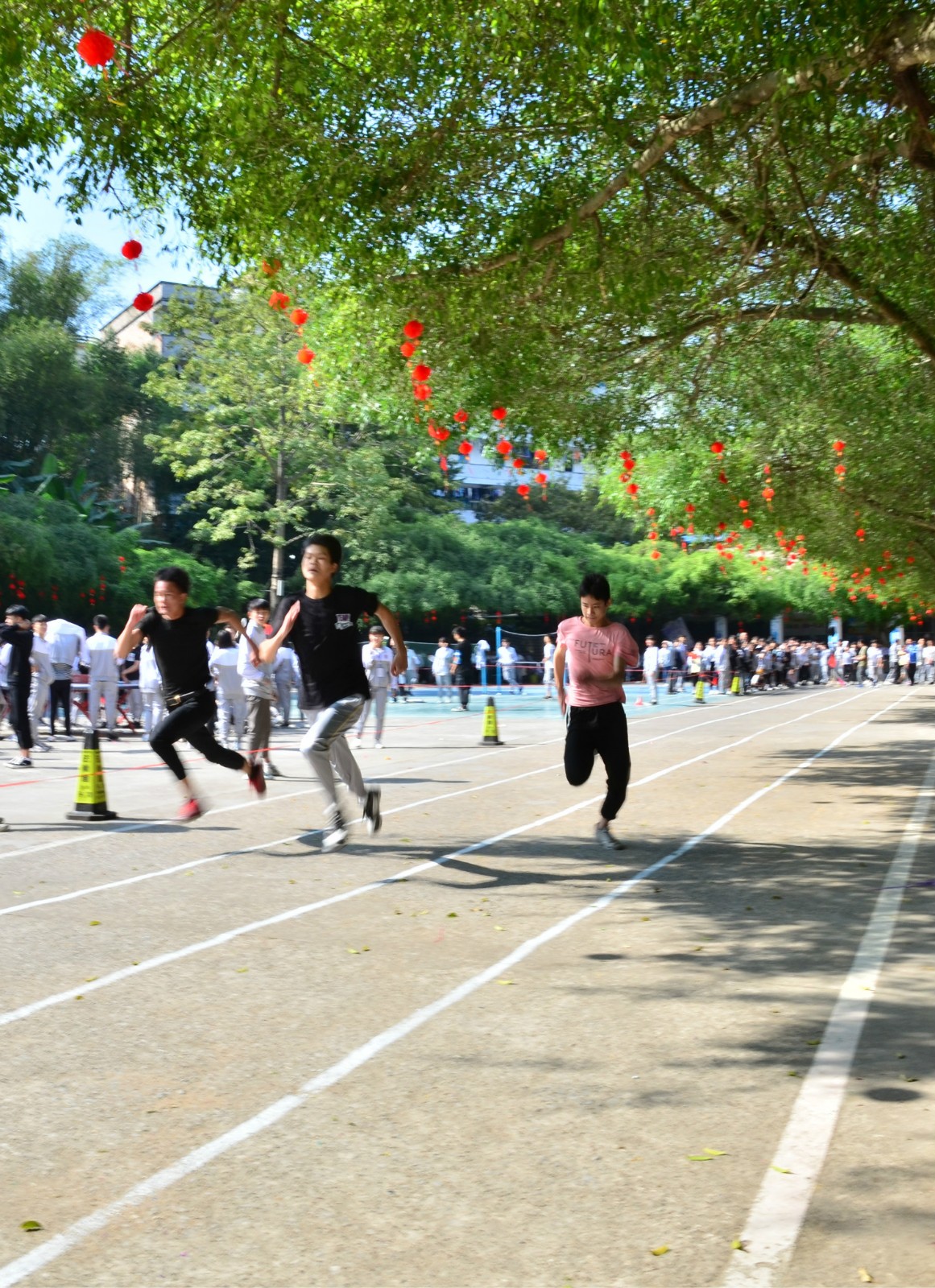 1575425809138286.jpg 1.jpg