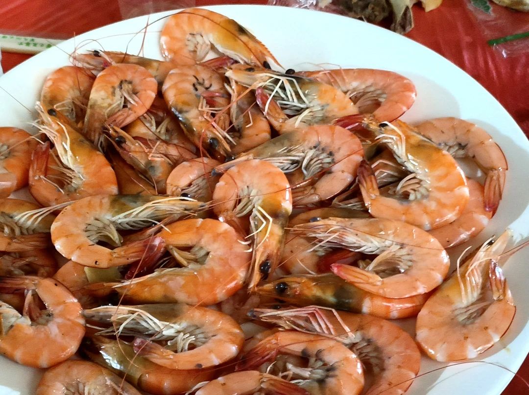 1711955305413718.jpg 1711955305413718.jpg