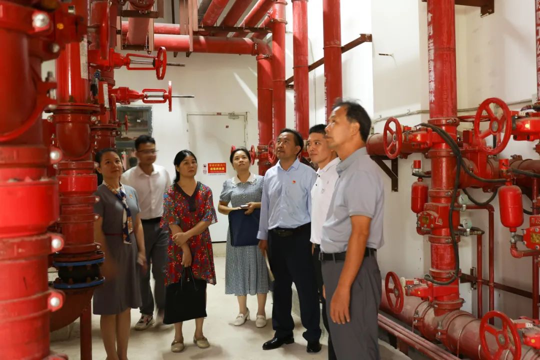 1739866749802345.jpg 1739866749802345.jpg